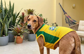 Caomisa Brasil Clássica - Frete Grátis