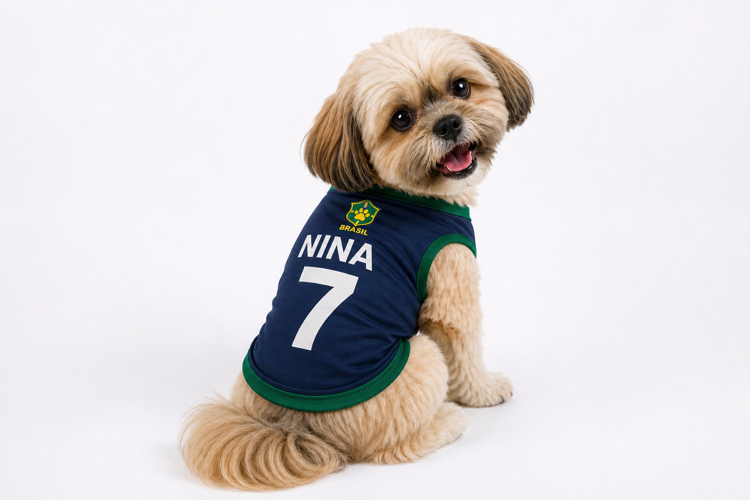Cachorro usando modelo azul personalizado